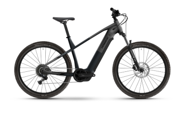 Alltrack 4 29" - 600Wh - 2026