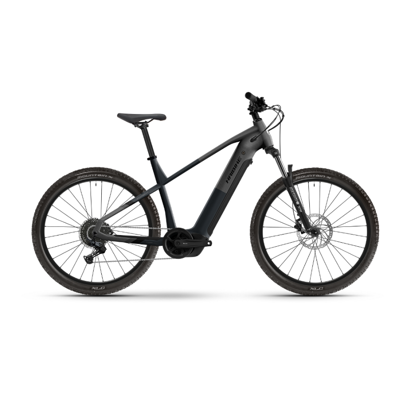 Alltrack 4 29" - 600Wh - 2026