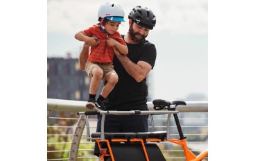 Monkey Bars Adjustable